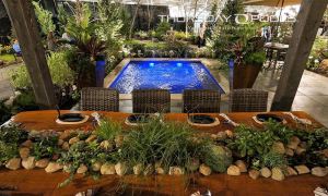 Wading Pool